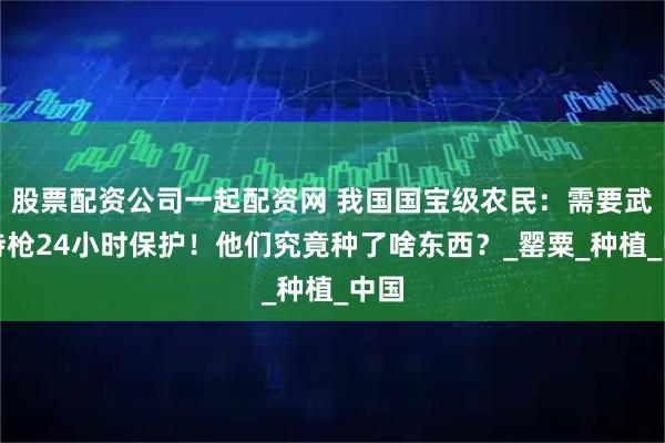 股票配资公司一起配资网 我国国宝级农民：需要武警持枪24小时保护！他们究竟种了啥东西？_罂粟_种植_中国