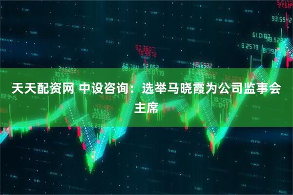 天天配资网 中设咨询：选举马晓霞为公司监事会主席