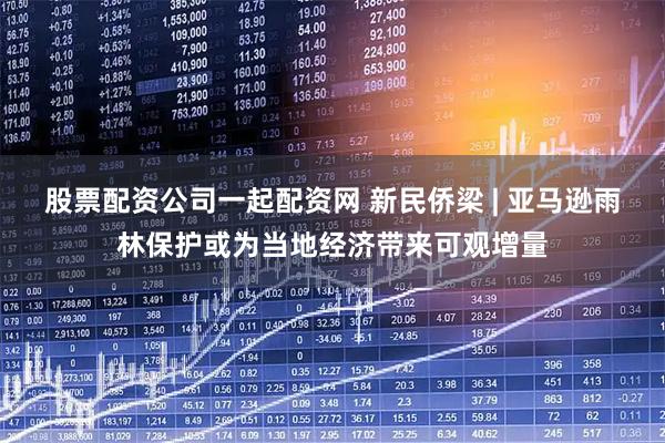 股票配资公司一起配资网 新民侨梁 | 亚马逊雨林保护或为当地经济带来可观增量