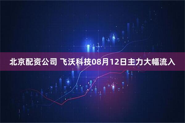 北京配资公司 飞沃科技08月12日主力大幅流入