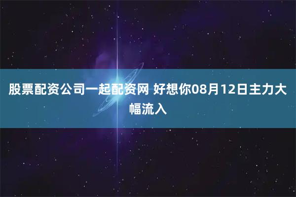 股票配资公司一起配资网 好想你08月12日主力大幅流入
